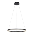 Leuchten Direkt 15394-13 - LED dimmbare Pendelleuchte RITUS LED/30W/230V schwarz
