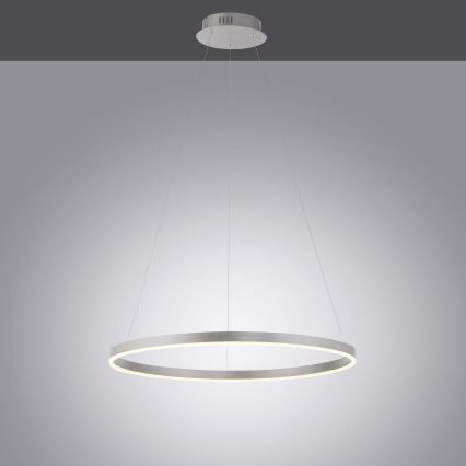 Leuchten Direkt 15394-95 - LED dimmbare Hängeleuchte auf Seil RITUS LED/30W/230V mattchrom