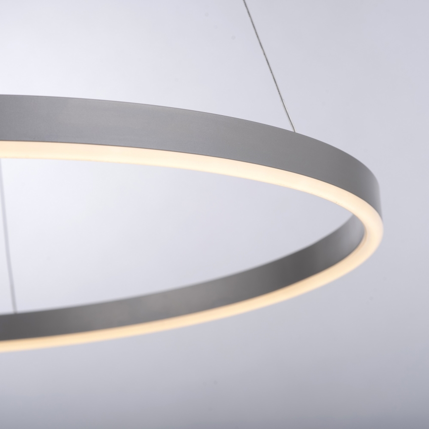 Leuchten Direkt 15394-95 - LED dimmbare Hängeleuchte auf Seil RITUS LED/30W/230V mattchrom