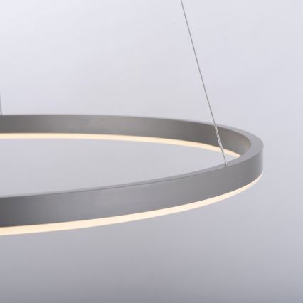 Leuchten Direkt 15394-95 - LED dimmbare Hängeleuchte auf Seil RITUS LED/30W/230V mattchrom