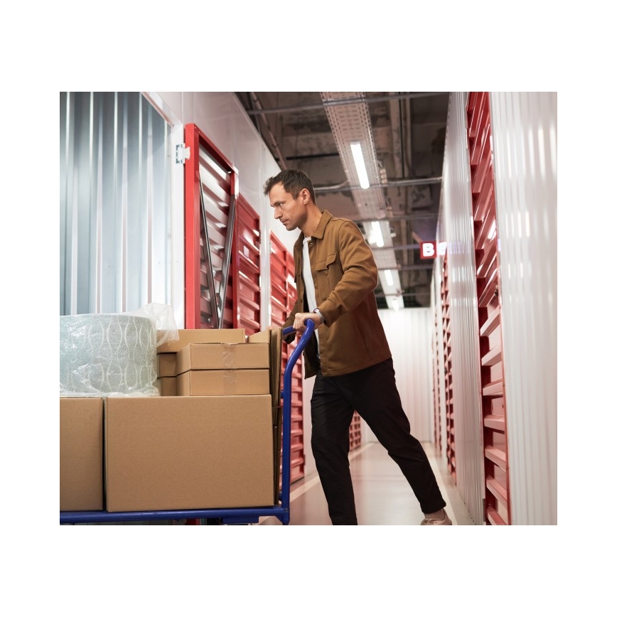 Leuchtstoffleuchte T8 DELFIA 2xG13/18W/230V 124 cm weiß