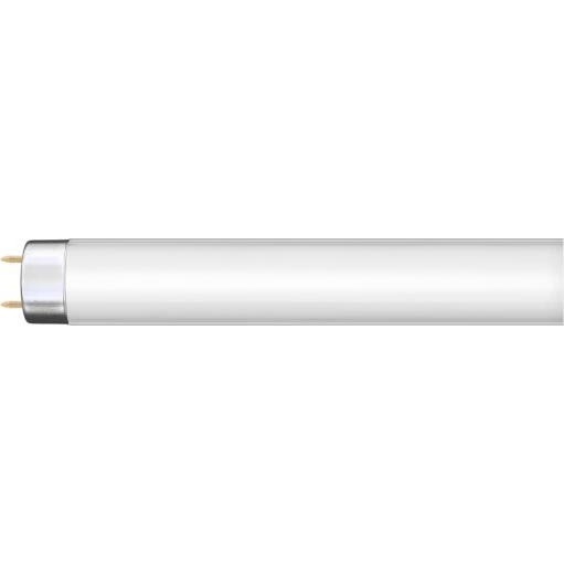 Leuchtstoffröhre G13/36W/230V 120 cm