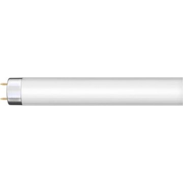 Leuchtstoffröhre G13/36W/230V 120 cm - Narva 108132000