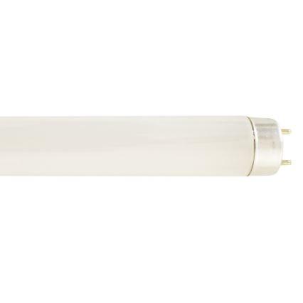 Leuchtstoffröhre G13/36W/230V 6000K