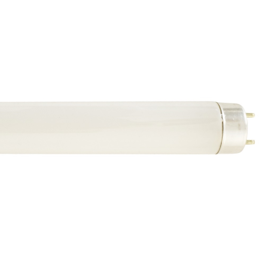 Leuchtstoffröhre G13/36W/230V 6000K