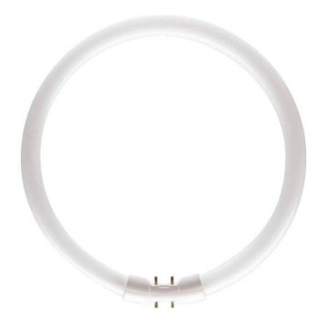 Leuchtstoffröhre Philips MASTER 2GX13/60W/230V 4000K