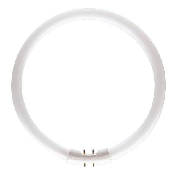 Leuchtstoffröhre Philips MASTER 2GX13/60W/230V 4000K