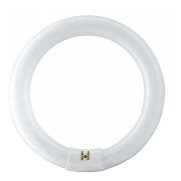 Leuchtstoffröhre Philips MASTER G10q/22W/230V 4000K Ø 21,35 cm