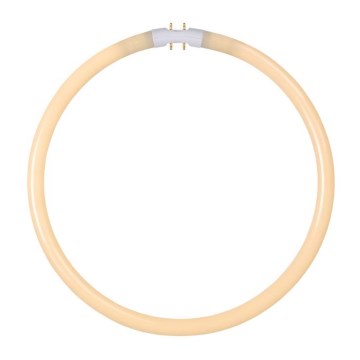 Leuchtstoffröhre T5 2GX13/40W/230V - Lucide 50105/40/31
