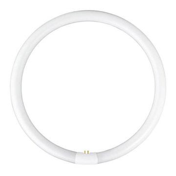 Leuchtstoffröhre T5 G10q/40W/230V 2700K