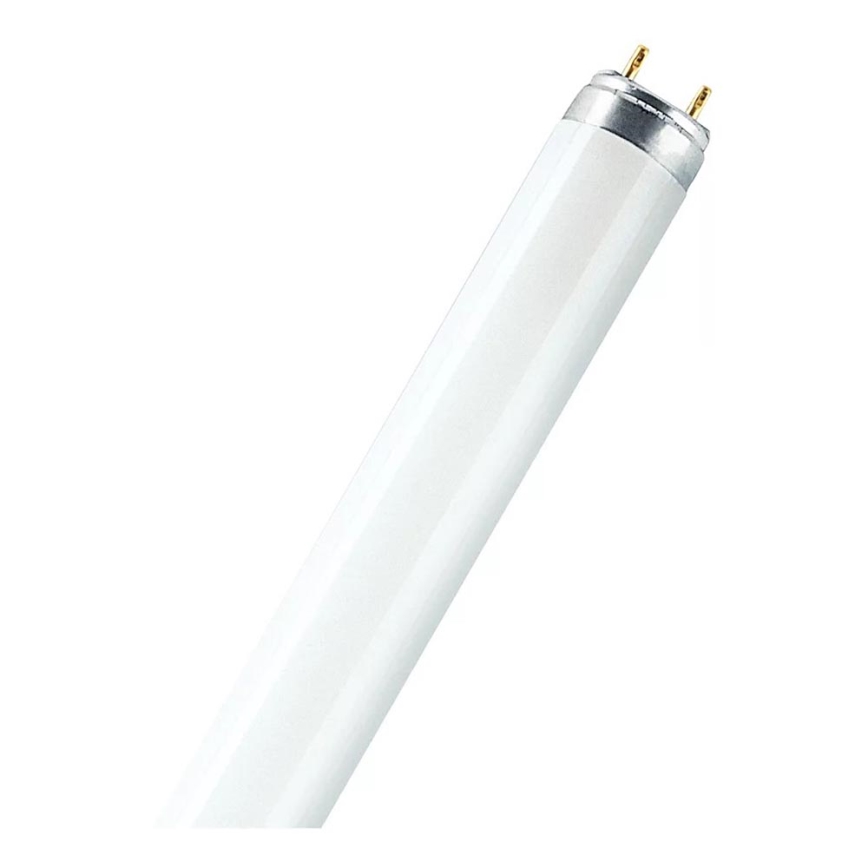 Leuchtstoffröhre T8 G13/15W/55V 4000K 45 cm - Osram