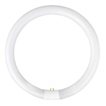 Leuchtstoffröhre YH G10q/22W/230V 4000K - Fulgur 03041