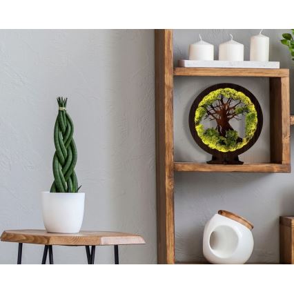 Li-Go 23631/DUB2 - dimmbare LED-Tischdekoration LED/12W/230V 30x31 cm Eiche/Moos und Baum