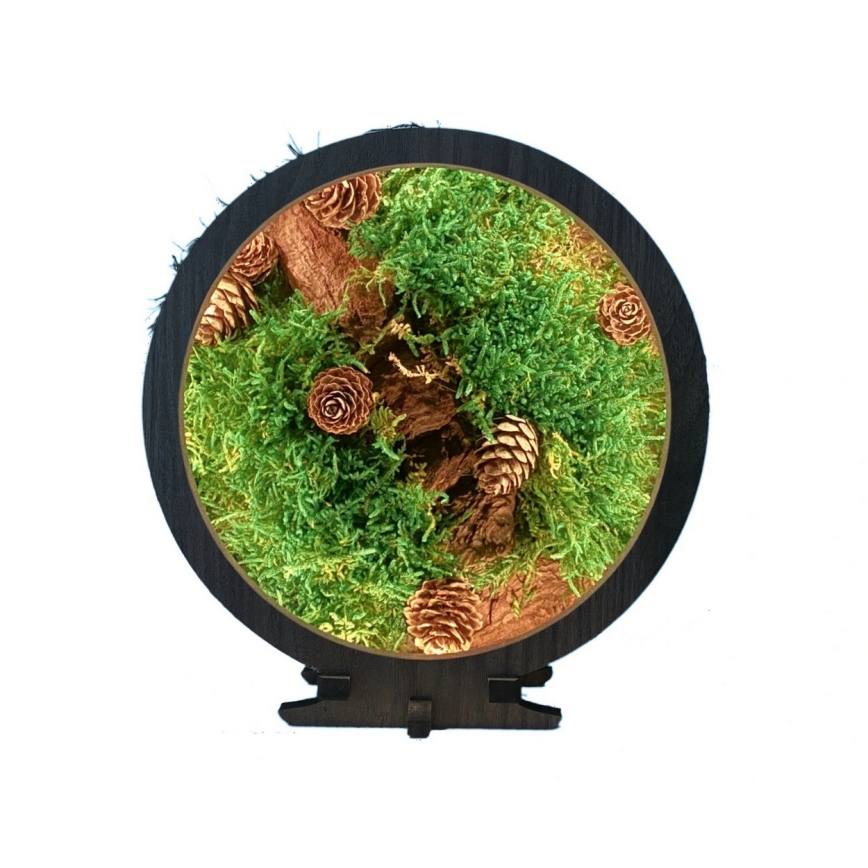 Li-Go 23654 - Dimmbare LED-Tischdekoration LED/12W/230V 20x22 cm Nussbaum/Moos-Arrangement
