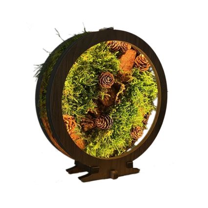 Li-Go 23654 - Dimmbare LED-Tischdekoration LED/12W/230V 20x22 cm Nussbaum/Moos-Arrangement