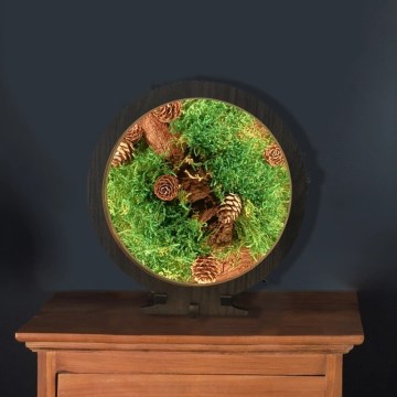 Li-Go 23654 - Dimmbare LED-Tischdekoration LED/12W/230V 20x22 cm Nussbaum/Moos-Arrangement