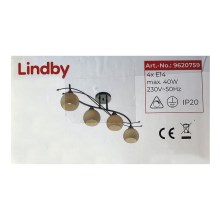 Lindby - Strahler LEANDA 4xE14/40W/230V