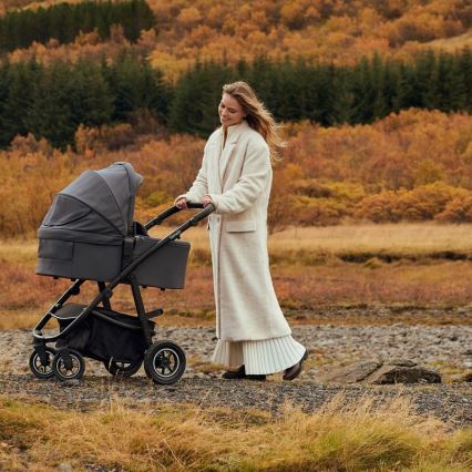 Lionelo - 3-in-1 Kombikinderwagen AMBER PLUS Grau Graphite