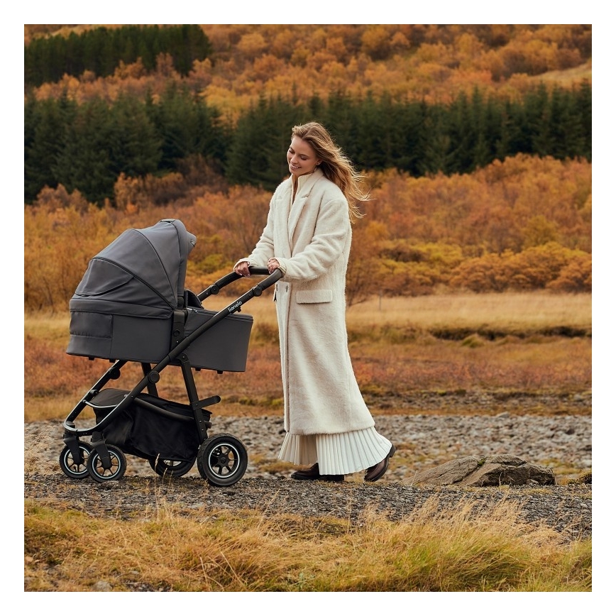 Lionelo - 3-in-1 Kombikinderwagen AMBER PLUS Grau Graphite