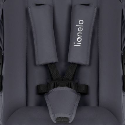 Lionelo - 3-in-1 Kombikinderwagen AMBER PLUS Grau Graphite