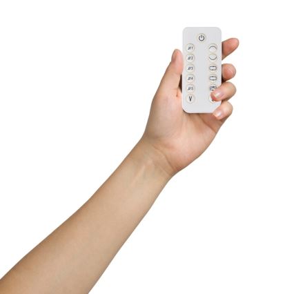 Lionelo - Babyschaukel mit Melodie OLIVIA Beige Natural + Fernbedienung