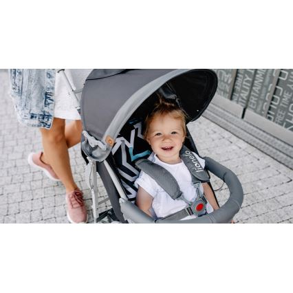 Lionelo - Buggy ELIA grau