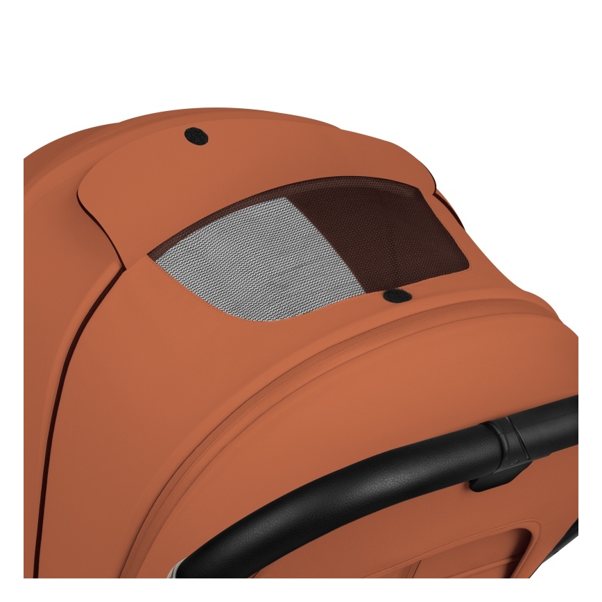 Lionelo - Kombi-Kinderwagen 2-in-1 MIKA PLUS Brown Rust