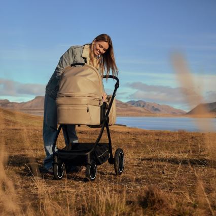 Lionelo - Kombi-Kinderwagen 3-in-1 MERIL Grey Stone