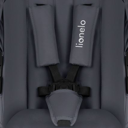 Lionelo - Kombikinderwagen 2-in-1 AMBER PLUS Grau Graphit