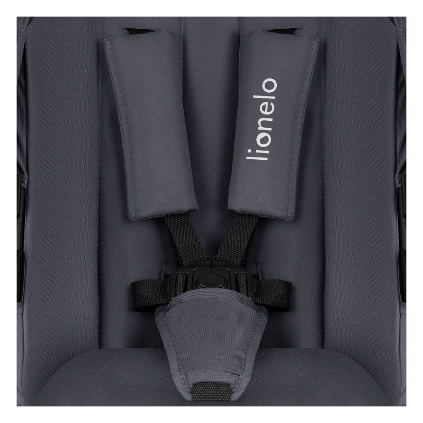 Lionelo - Kombikinderwagen 2-in-1 AMBER PLUS Grau Graphit