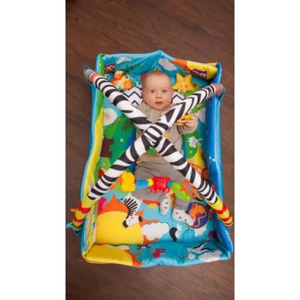 Lionelo - Spieldecke für Kinder ANIKA