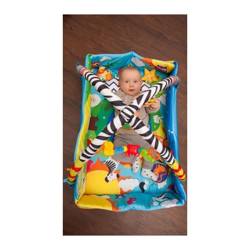 Lionelo - Spieldecke für Kinder ANIKA