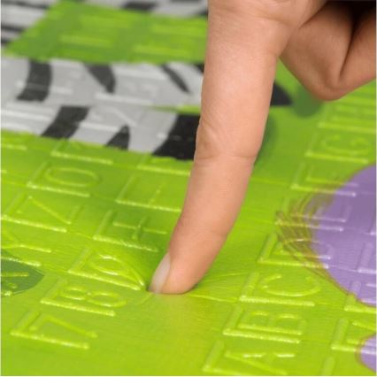 Lionelo - Spielmatte für Kinder ROBBY