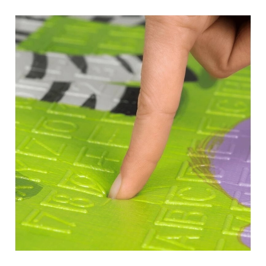 Lionelo - Spielmatte für Kinder ROBBY