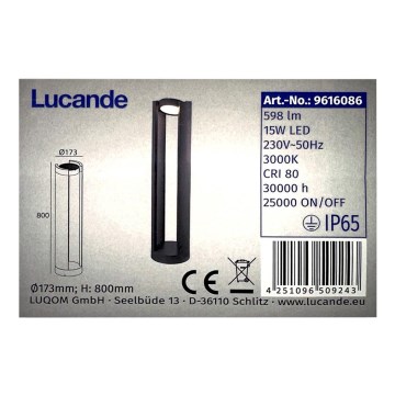 Lucande - LED-Außenleuchte DYLEN LED/15W/230V IP65