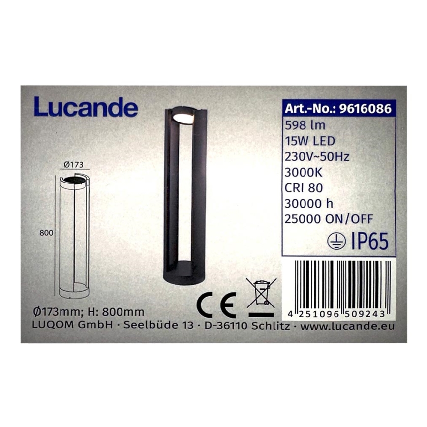Lucande - LED-Außenleuchte DYLEN LED/15W/230V IP65