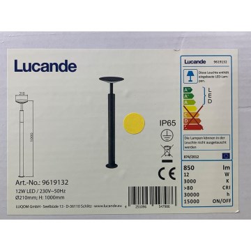 Lucande - LED-Außenleuchte FENIA LED/12W/230V IP65