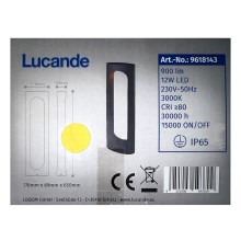 Lucande - LED-Außenleuchte FENTI LED/12W/230V IP65