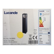 Lucande - LED-Außenleuchte NICOLA LED/7W/230V IP54