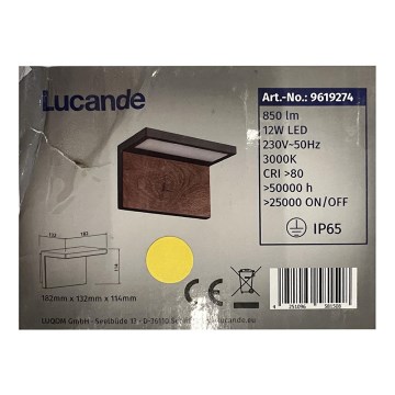 Lucande - LED-Außenwandleuchte LIGNUS LED/12W/230V IP65