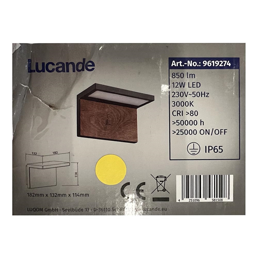 Lucande - LED-Außenwandleuchte LIGNUS LED/12W/230V IP65