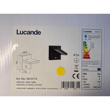 Lucande - LED-Außenwandleuchte mit Sensor SILVAN LED/14W/230V IP54