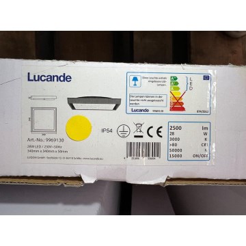 Lucande - LED-Deckenleuchte für den Außenbereich BIRTA LED/28W/230V IP54