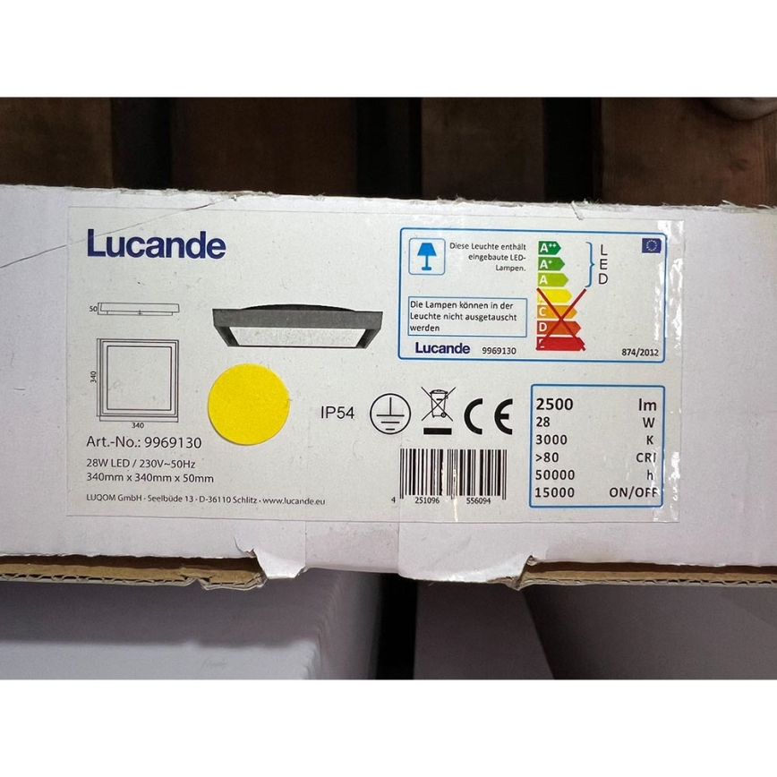 Lucande - LED-Deckenleuchte für den Außenbereich BIRTA LED/28W/230V IP54