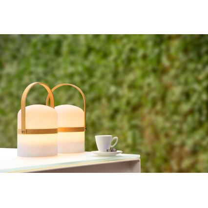 Lucide 06800/03/31 - Dimmbare LED-Außenleuchte JOE LED/3W/230V 680mAh IP44