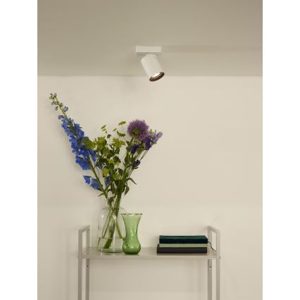 Lucide 09929/05/31 - Dimmbarer LED-Strahler NIGEL 1xGU10/5W/230V weiß CRI 95