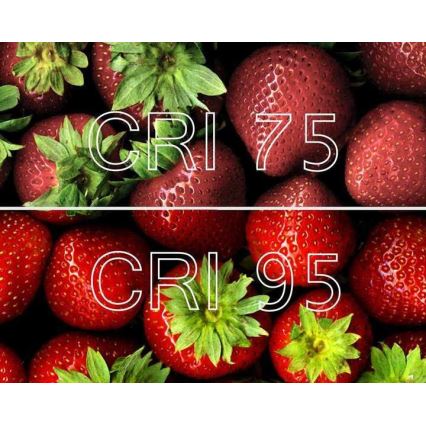 Lucide 09929/05/31 - Dimmbarer LED-Strahler NIGEL 1xGU10/5W/230V weiß CRI 95