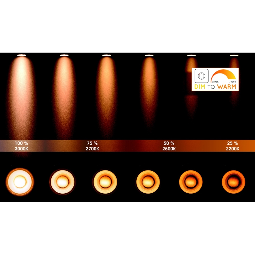 Lucide 22969/48/30 - LED dimmbare Punktleuchte GRIFFON 4xGU10/12W/230V