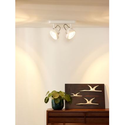 Lucide 31930/24/31 - LED Spotlight TALA LED 2xG53/12W/230V/12V weiss