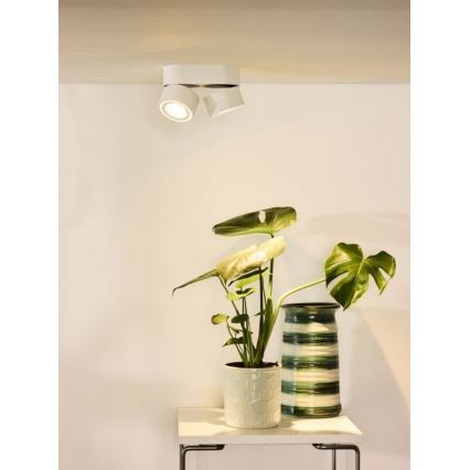 Lucide 35911/16/31 - LED dimmbare Punktleuchte YUMIKO 2xLED/8W/230V weiß